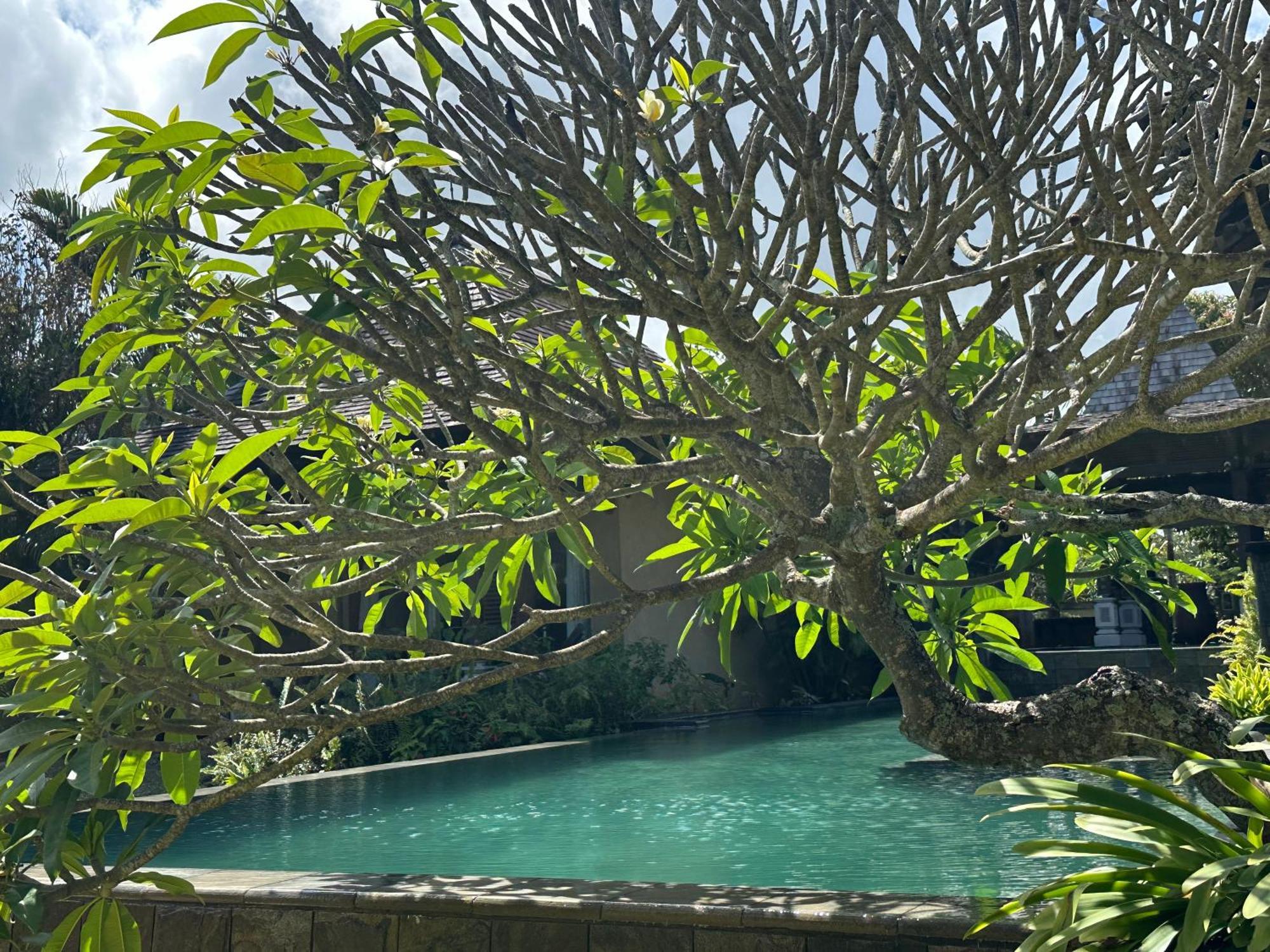 Villa Serenité Bel Ombre Exterior foto